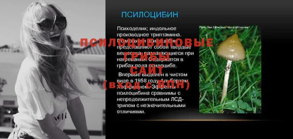 мдпв Богородицк