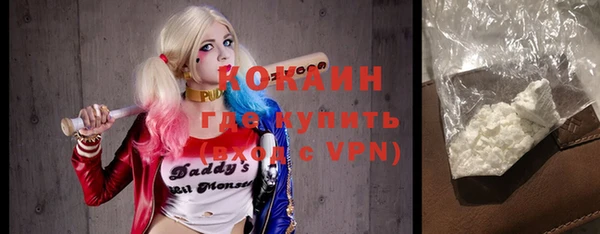 мдпв Богородицк