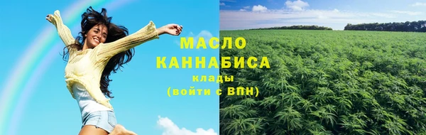 мдпв Богородицк