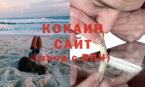 мдпв Богородицк