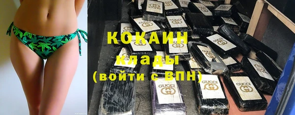 мдпв Богородицк