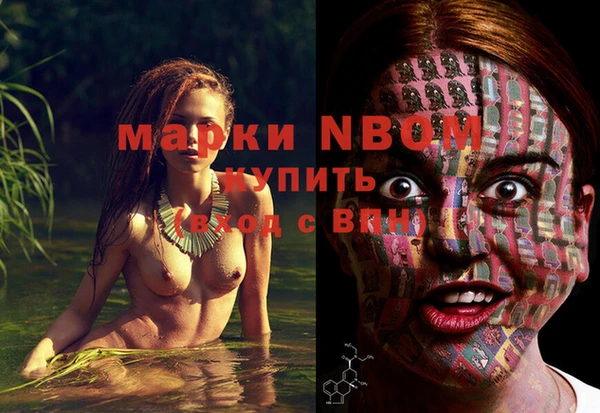 мдпв Богородицк
